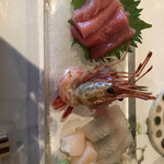 Sushi Tsukasa - 