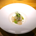 ドディチ・マッジョ - 