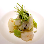 ドディチ・マッジョ - 