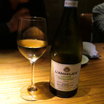 ドディチ・マッジョ - 