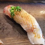 玄海鮨 - カンパチ です