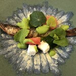 stesso e Magari CHIC - 2020/6