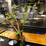 セララバアド - イケバナ　ハモン