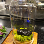 セララバアド - ペトリコール　ゲオスミン