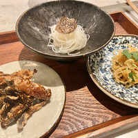 CINA New Modern Chinese - 