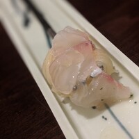 セルサルサーレ - 