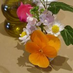 ポルチェリーノ - 