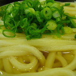 うどん 丸香 - かけうどんアップ