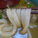うどん処 杉 - 【2012年05月】カレーうどん（太麺）の麺のアップ。