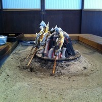 柳家 - オショロコマ