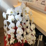 麺屋一燈 - １０周年記念 祝い花