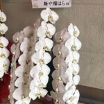 麺屋一燈 - １０周年記念 祝い花