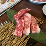 Te-Buruo-Da-Baikingu Yakiniku Oudou - 