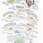 IL TEATRINO DA SALONE - 2012年5月のメニュー