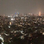 THE WESTIN TOKYO - 