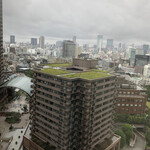 THE WESTIN TOKYO - 