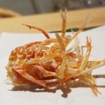 にい留 - (06)車海老の頭2
      産卵期は初夏～初秋、旬は初夏～初秋。
      非常に美しく揚げられた車海老の脚。
      脚がパリッとして芳ばしく得も言われぬ美味しさ。
      にい留さんに戻ってきた喜びを感じます。