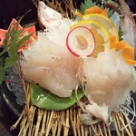 かもめ食堂 - カレイの刺し身