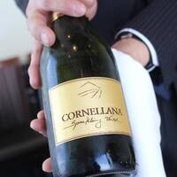 サンシャイン クルーズ・クルーズ - 