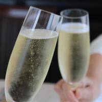 サンシャイン クルーズ・クルーズ - 