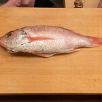 宮川町ざこや - 