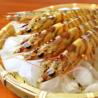 海千山千番長 裏なんば店 道具屋筋店 ウミセンヤマセンバンチョウ 難波 南海 居酒屋 ネット予約可 食べログ