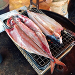 サスヨ海産 - 沼津の干物はほぼ生！朝開きと云います