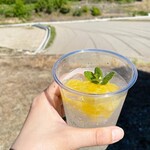 토우보우유우 카페 Cafe stand tOt - 수제 과일 사이다(시기에 따라 과일이 변경됩니다)