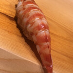 すが弥 - 車海老。天本置きは仕舞います