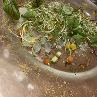 パージナ イタリアン ファイアワークス プラス カフェ ~薪焼きイタリアンとワイン~ -  パージナ イタリアン ファイアワークス プラス カフェ ~薪焼きイタリアンとワイン~ -