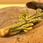 川田 - 2020.5.  天然タラの芽