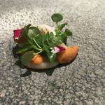 ジョンティ アッシュ - 帆立貝とエンドウのサラダ、レモングラスの香るトマトのジュレと共に