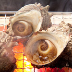 Grilled turban shell