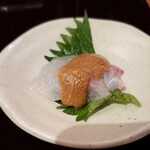 Sakanatosakeakauzu - 鯛の胡麻掛け