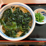 おうどん 瀬戸晴れ - 期間限定メニュー「コリコリわかめうどん（中）」
