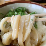 手打ちうどんますや - 極太麺