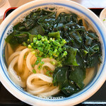 おうどん 瀬戸晴れ - コリコリわかめうどん（ネギtopping）