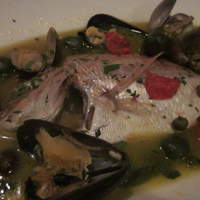 PAPPARE NAPOLI - 