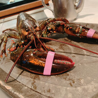 京風鉄板 はせ川 - 