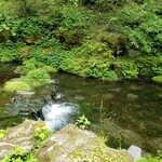 콘치넨타루 룸 - 오젠수