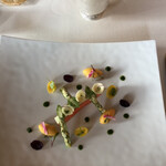 トゥールダルジャン - 