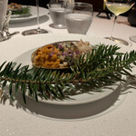 レフェルヴェソンス - 