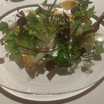 レフェルヴェソンス - 