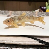 天麩羅 巽 - 稚鮎