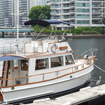 T.Y.HARBOR - 美しい白鷺