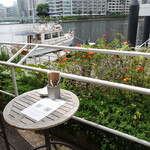 T.Y.HARBOR - 白鷺まだいますネッ！