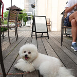 T.Y.HARBOR - 楽しかったわネッ！