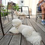 T.Y.HARBOR - ふたりで何見てるの？