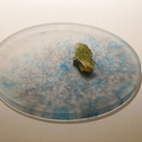 レストランエール - 