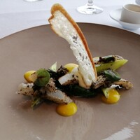 ツキ シュール ラメール - 